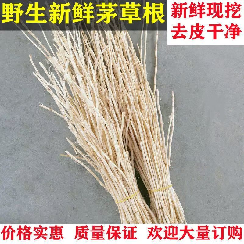 白茅根