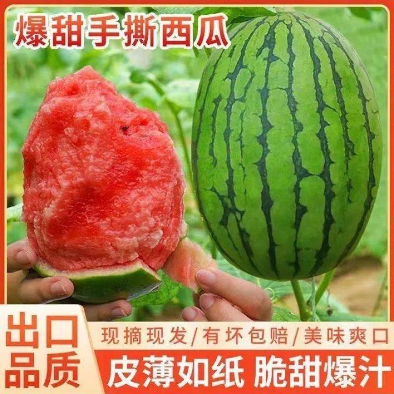 陕西渭南临渭区精品吊瓜938吊兰西瓜大量上市对接商超