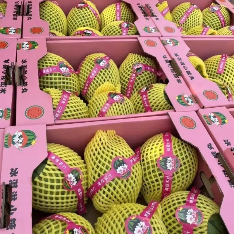 陕西渭南临渭区精品吊瓜938吊兰西瓜大量上市对接商超