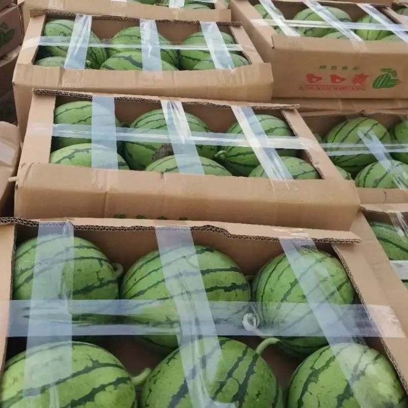 陕西渭南临渭区精品吊瓜938吊兰西瓜大量上市对接商超