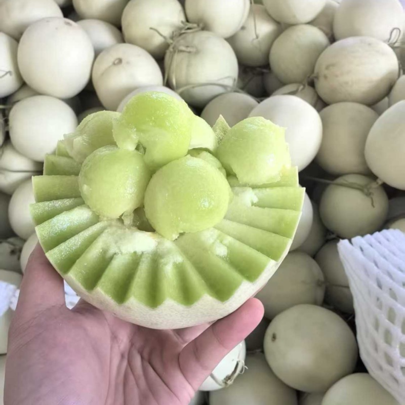 山东玉菇甜瓜，新品上市，品质保证，规格齐全，欢迎咨询