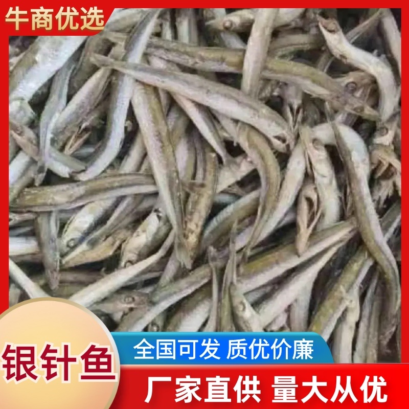 银针鱼、又名面条鱼、大量批发适合电商、社区团购欢迎下单