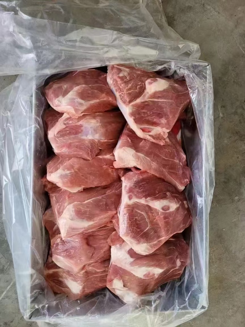 多肉扇子骨18斤颜色好带骨扇子骨，纯干货