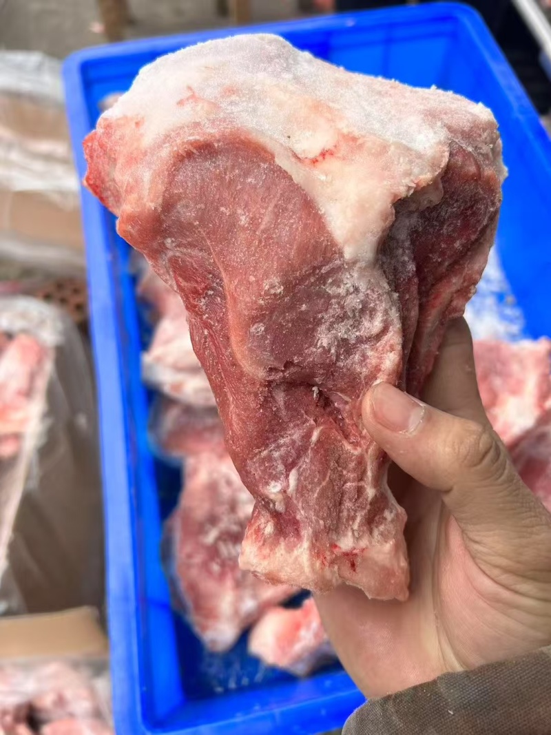 多肉扇子骨18斤颜色好带骨扇子骨，纯干货