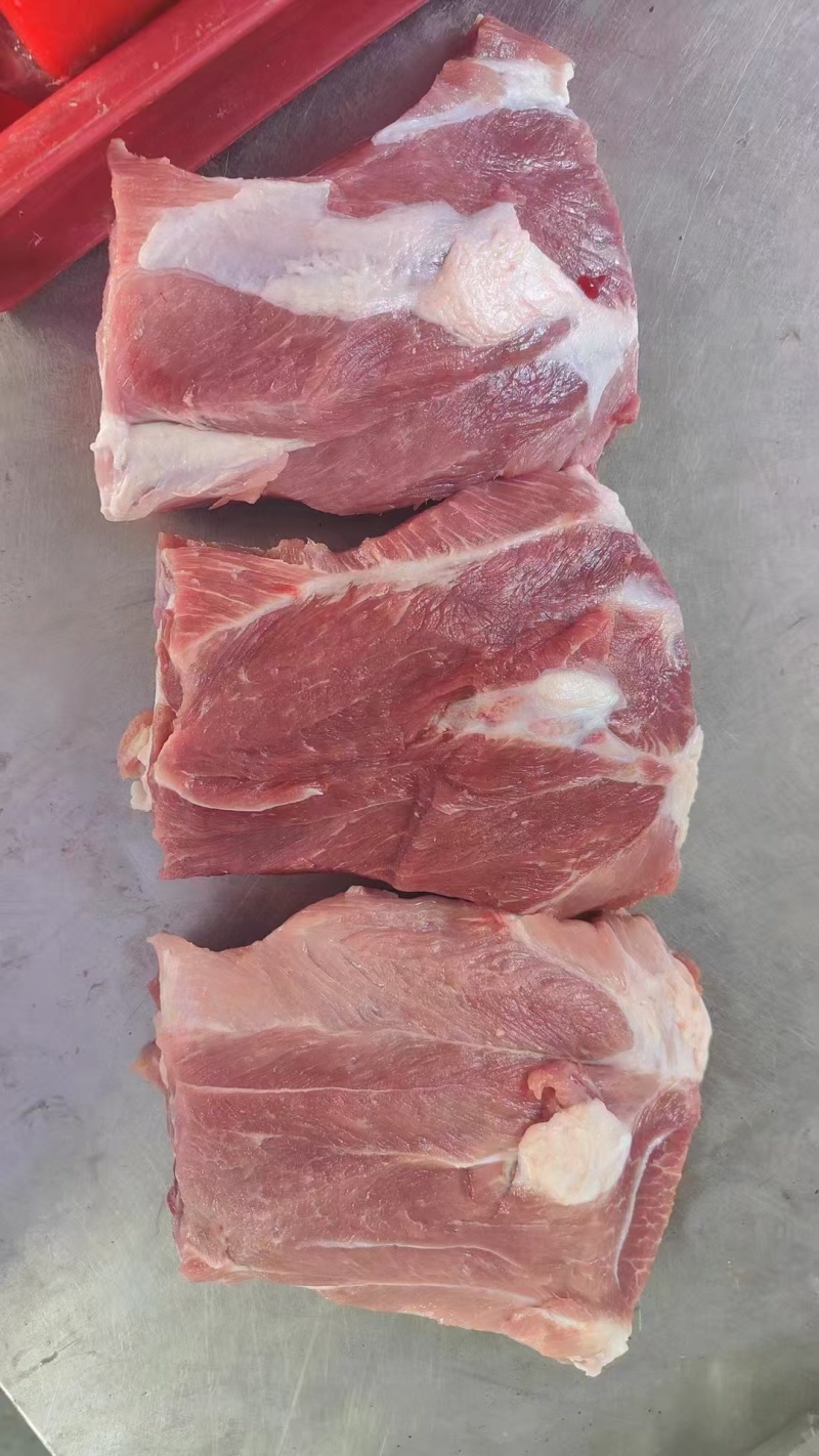 多肉扇子骨18斤颜色好带骨扇子骨，纯干货