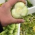 【人气】小油菜上海青无虫眼烧边黑点翠绿鲜嫩卖相好货量大有包装