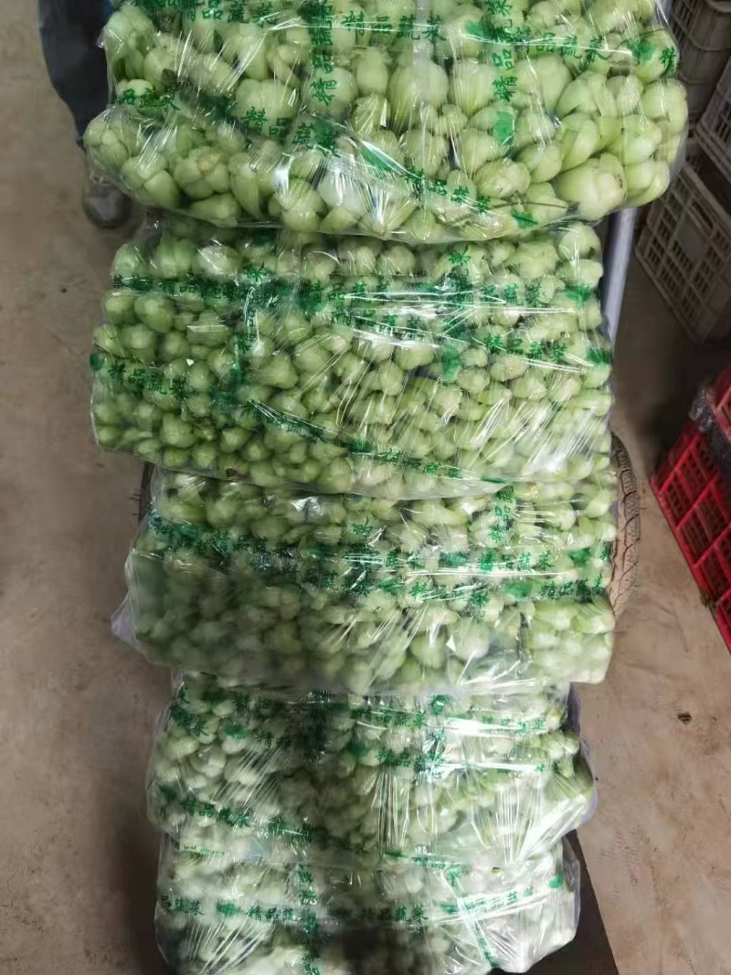 【人气】小油菜上海青无虫眼烧边黑点翠绿鲜嫩卖相好货量大有包装
