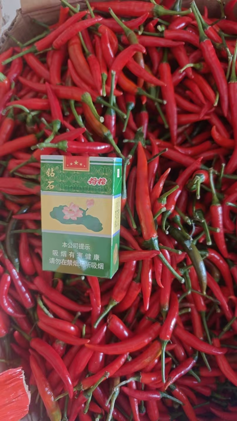 精品小米椒【河南发货】全国可发诚信经营，客户至上！