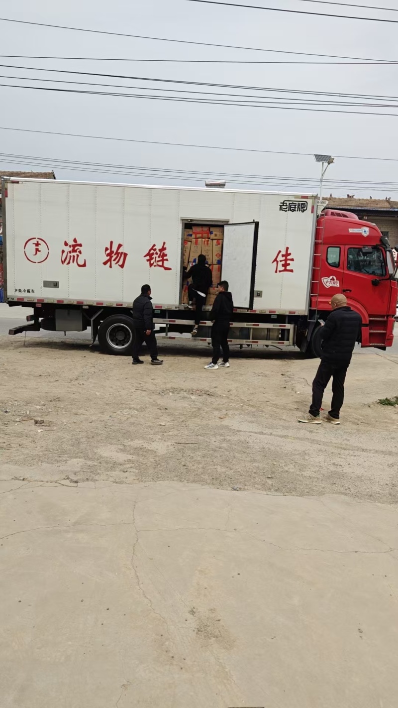 精品小米椒【河南发货】全国可发诚信经营，客户至上！