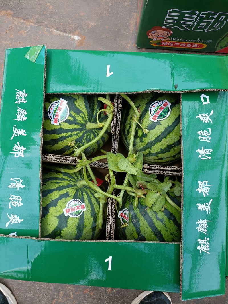 无籽西瓜安徽麒麟西瓜一手货源代收代发全国市场