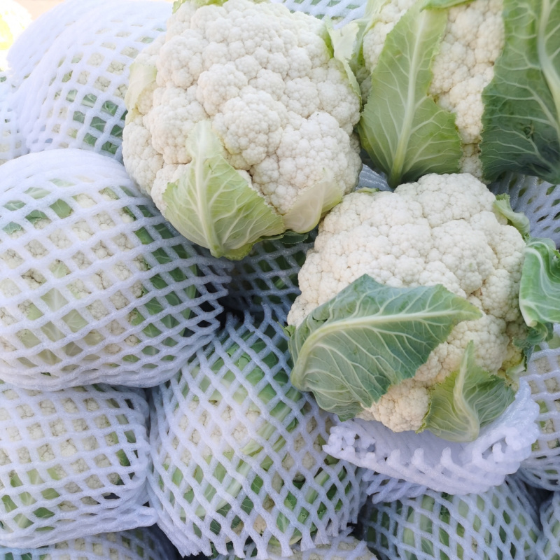 好货推荐有机菜花松花菜基地直发对接电商市场商超