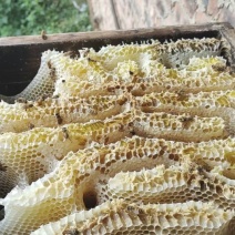 纯正的蜂蜜，百花蜜