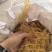 千年深海胶质王！石花菜质量非常好！