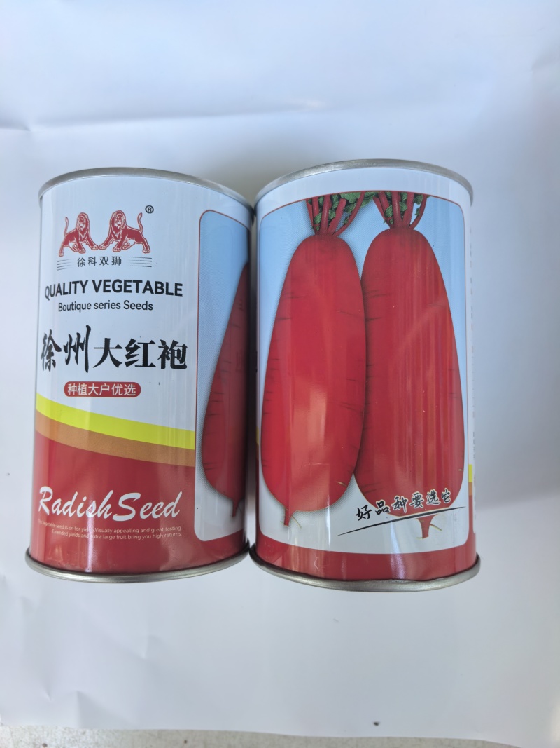 徐州大红袍萝卜种子耐热红皮白肉水萝卜满身红夏秋水果萝卜种
