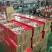 沈阳中街冰点出品中街老冰棍汽水358ml/瓶，15瓶/箱