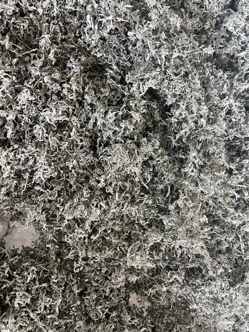 莓茶