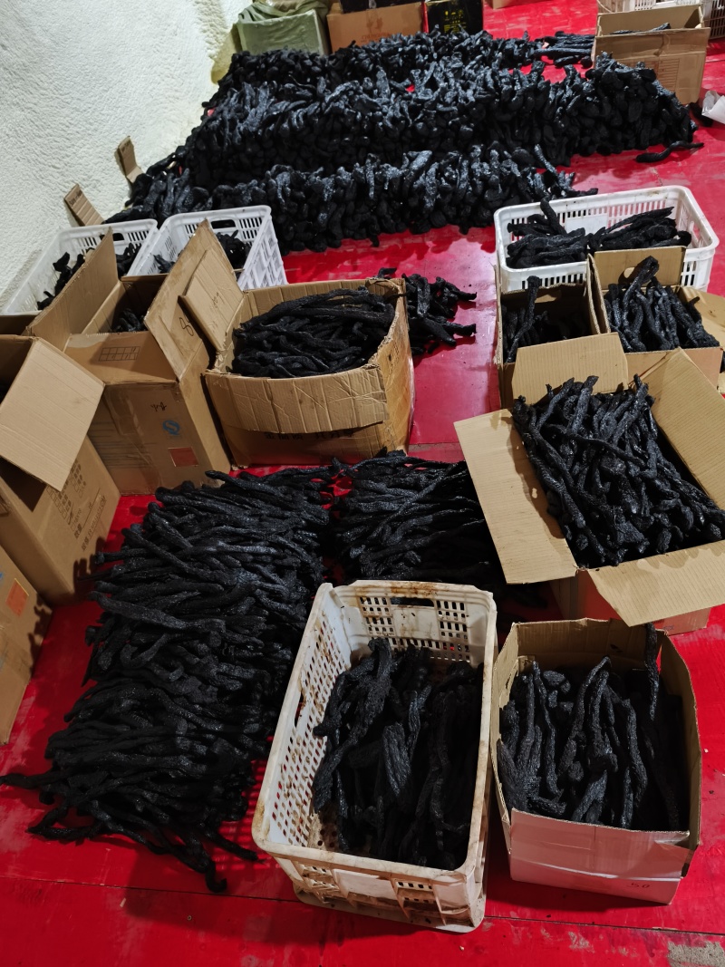 批发软质肉苁蓉个子规格齐全大芸大货一件代发