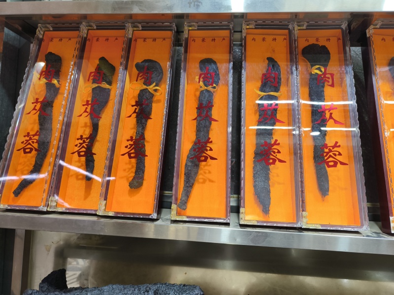 批发软质肉苁蓉个子规格齐全大芸大货一件代发