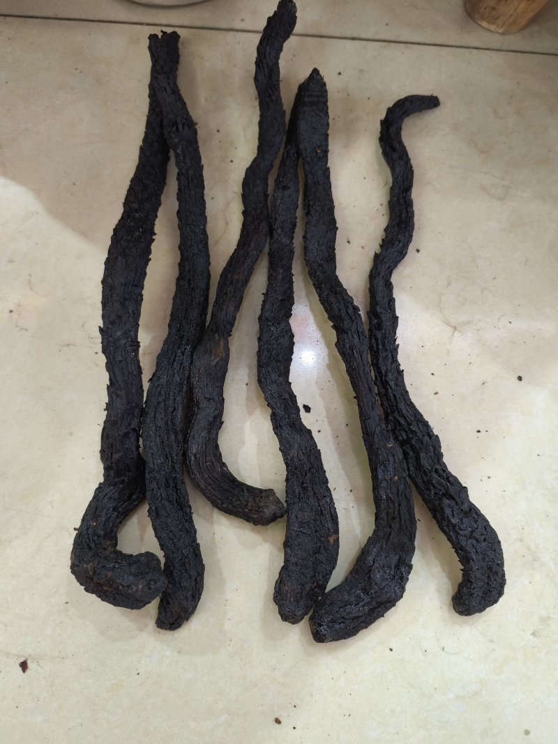 批发软质肉苁蓉个子规格齐全大芸大货一件代发