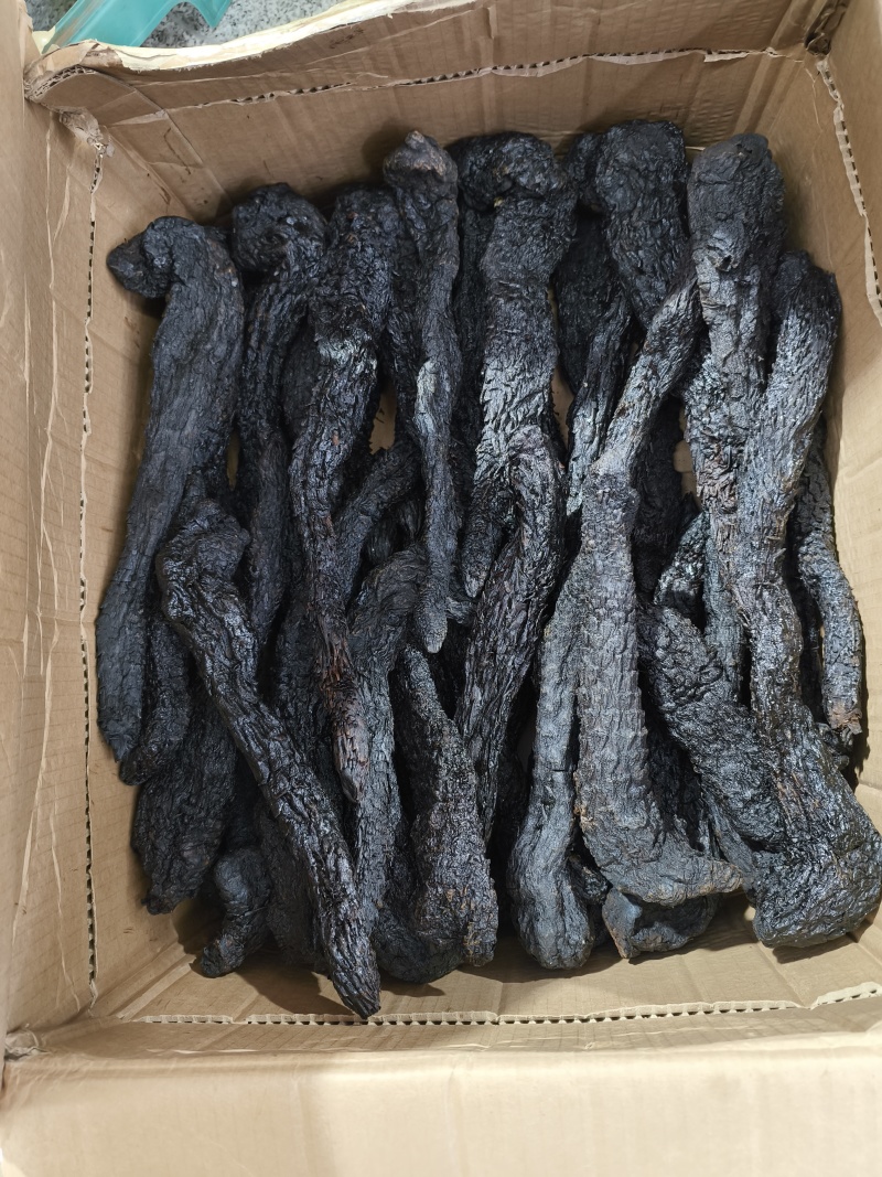批发软质肉苁蓉个子规格齐全大芸大货一件代发
