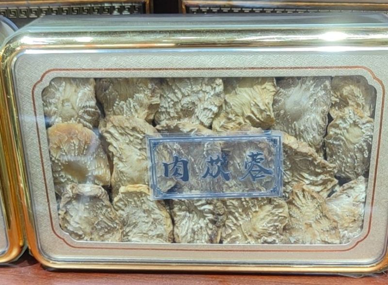 肉苁蓉片新疆大芸新货软质货当季新货