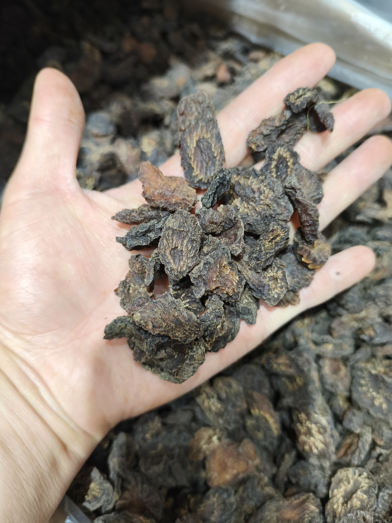 肉苁蓉片新疆大芸新货软质货当季新货