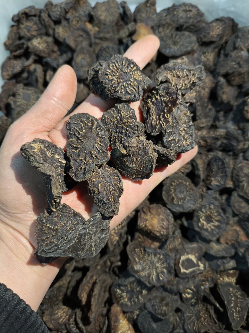 肉苁蓉片新疆大芸新货软质货当季新货