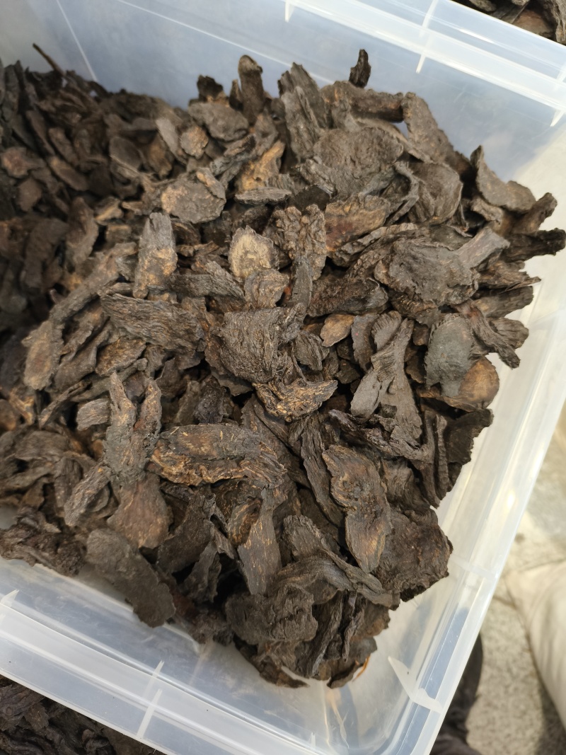 肉苁蓉片新疆大芸新货软质货当季新货
