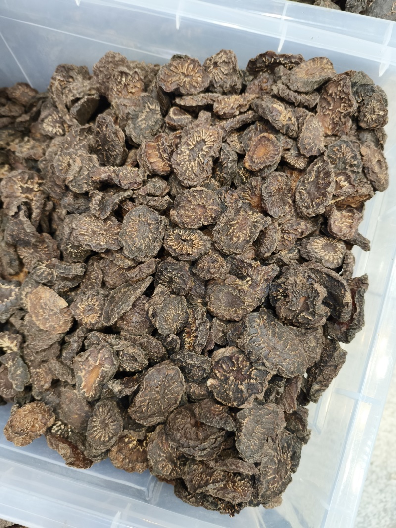肉苁蓉片新疆大芸新货软质货当季新货