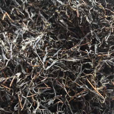 千年古树普洱茶可批发可零售对接线下市场和电商