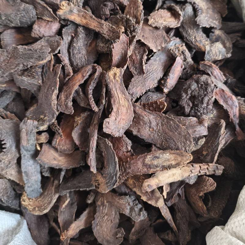 肉苁蓉片新疆大芸新货软质货当季新货
