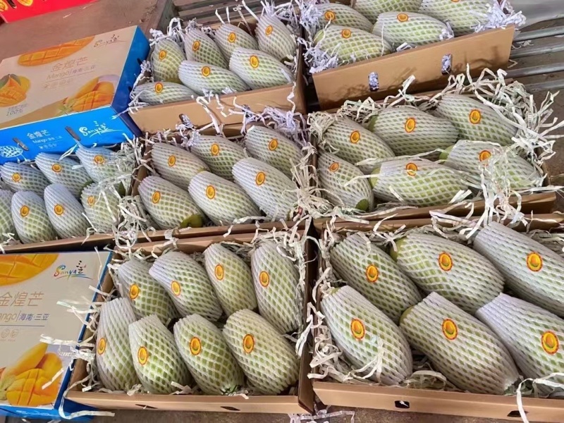 海南热带水果热销排行榜