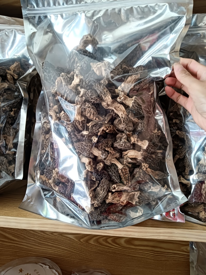野生羊肚菌