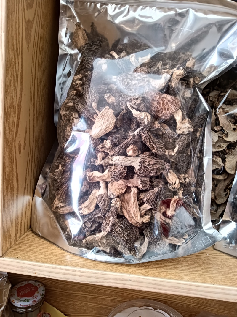 野生羊肚菌