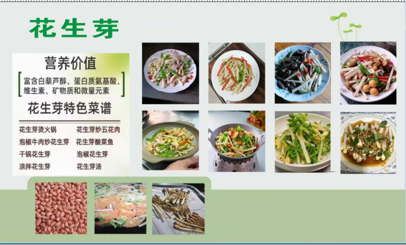 花生芽现产现发品质保证支持视频看货欢迎下单品尝