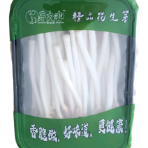 花生芽现产现发品质保证支持视频看货欢迎下单品尝