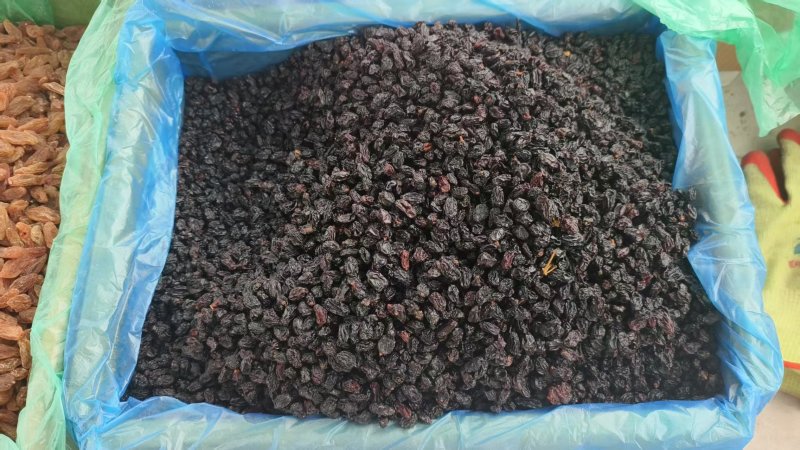 葡萄黑加仑大量现货供应产品质量保证价格实惠量大