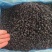 葡萄黑加仑大量现货供应产品质量保证价格实惠量大