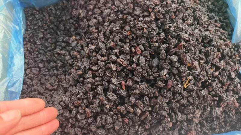 葡萄黑加仑大量现货供应产品质量保证价格实惠量大