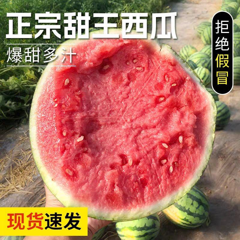 甜王西瓜糖度13%基地种植大规模批发一手货源质量保证视货