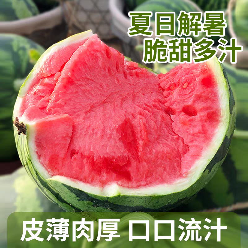 甜王西瓜糖度13%基地种植大规模批发一手货源质量保证视货