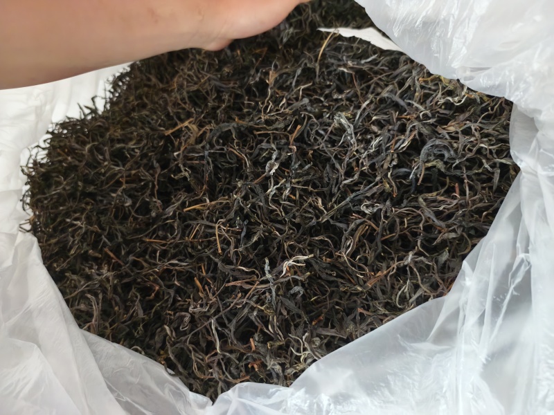 千年古树普洱茶可批发可零售对接线下市场和电商