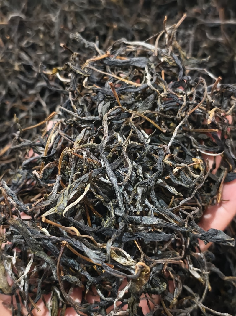 千年古树普洱茶可批发可零售对接线下市场和电商
