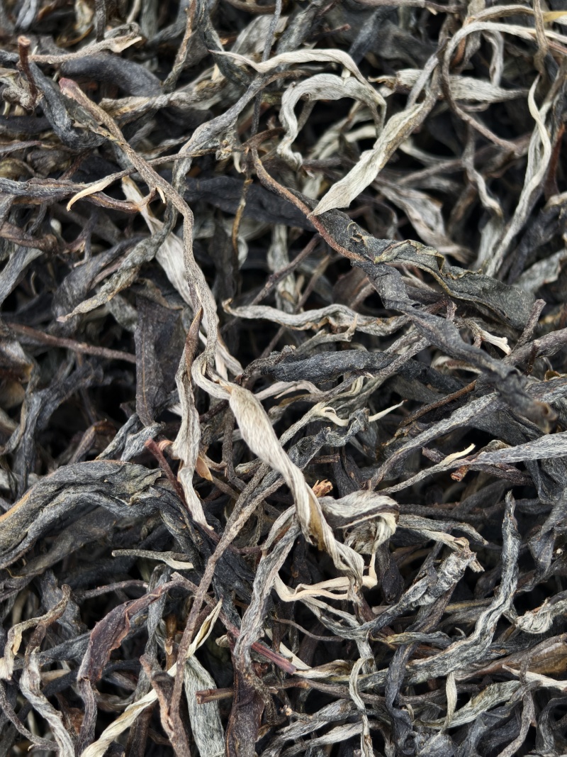 千年古树普洱茶可批发可零售对接线下市场和电商