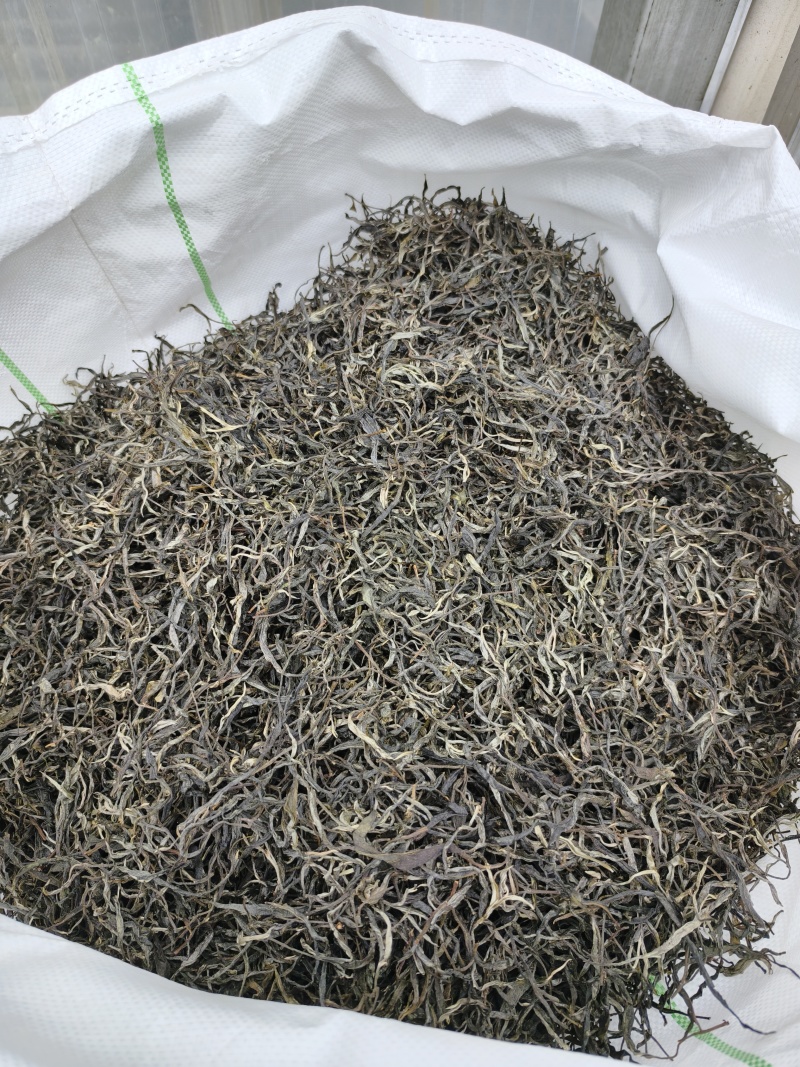 千年古树普洱茶可批发可零售对接线下市场和电商