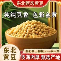 东北黄豆/黑土种植/高蛋白非转基因黄豆/黑龙江发货