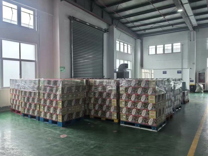 沈阳中街冰点出品中街老冰棍汽水358ml*15瓶/箱