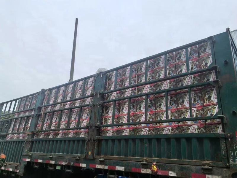 沈阳中街冰点出品中街老冰棍汽水358ml*15瓶/箱