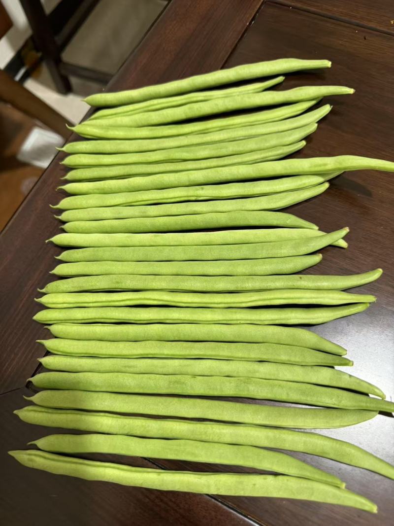 云南精品四季豆小金豆产地直发品质保证量大从优