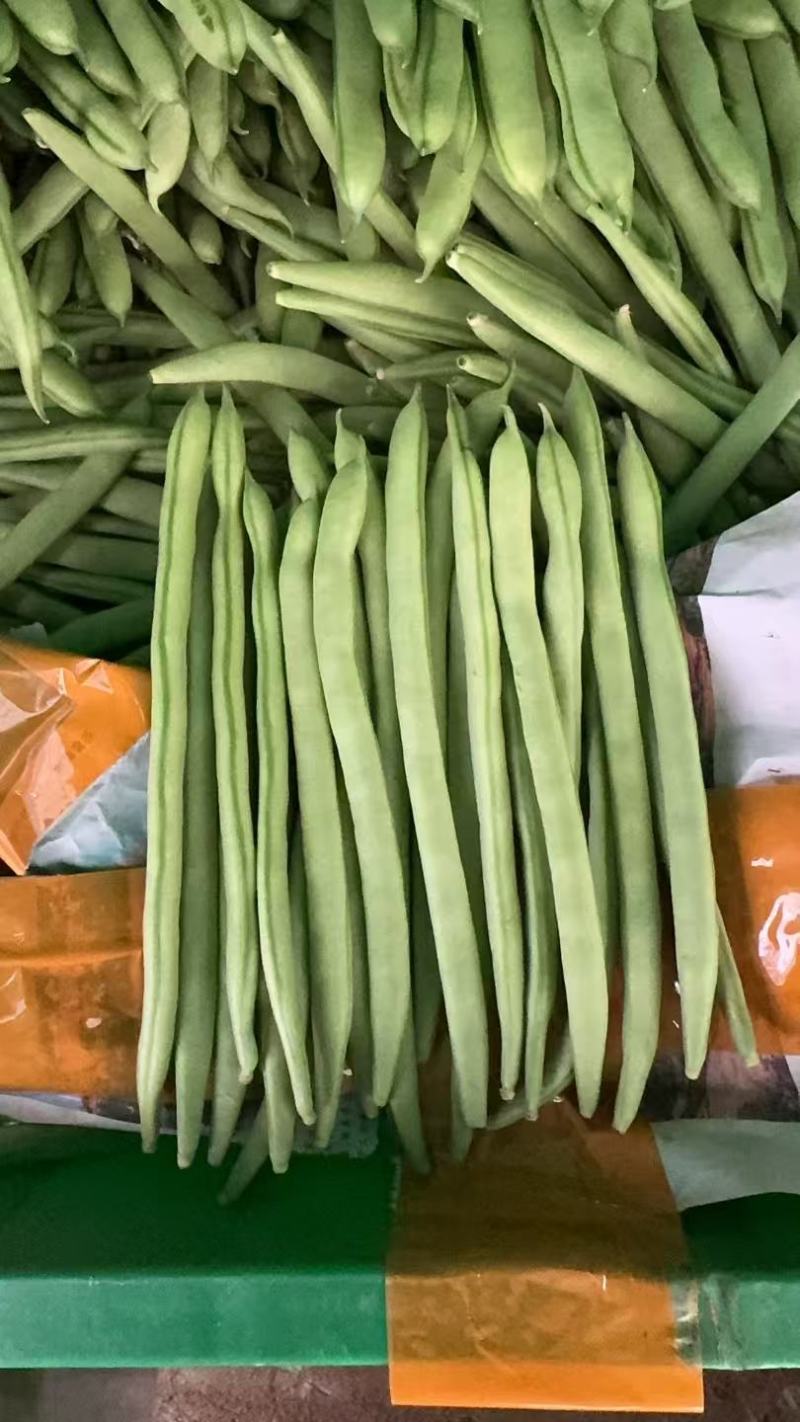 云南精品四季豆小金豆产地直发品质保证量大从优
